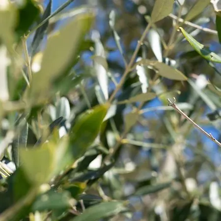 Eleonora * Santa Maria di Leuca