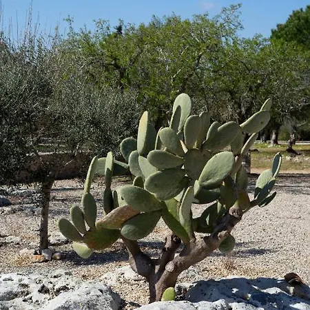 Dom wakacyjny Eleonora